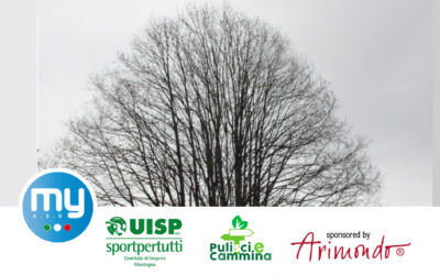 DENTRO L’ALBERO MONUMENTALE – domenica 15 giugno 2025