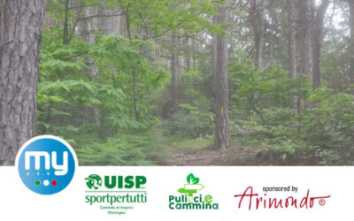 BOSCO DI GROU  A BAJARDO – domenica 8 giugno 2025