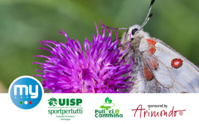 BUTTERFLY WATCHING – 28 Giugno 2026